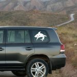 برچسب ماشین طرح کوسه