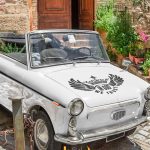 برچسب بال و تاج in god we trust