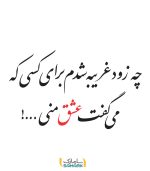 چه زود غریبه شدم برای کسی که می گفت عشق منی ... !