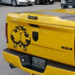 برچسب گاو برای شیشه و بدنه ماشین