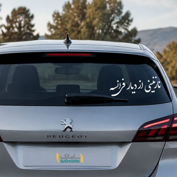 نوشته پشت ماشینی | نازنینی از دیار فرانسه
