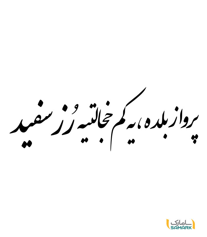 نوشته پشت ماشین پرواز بلده یه کم خجالتیه رز سفید